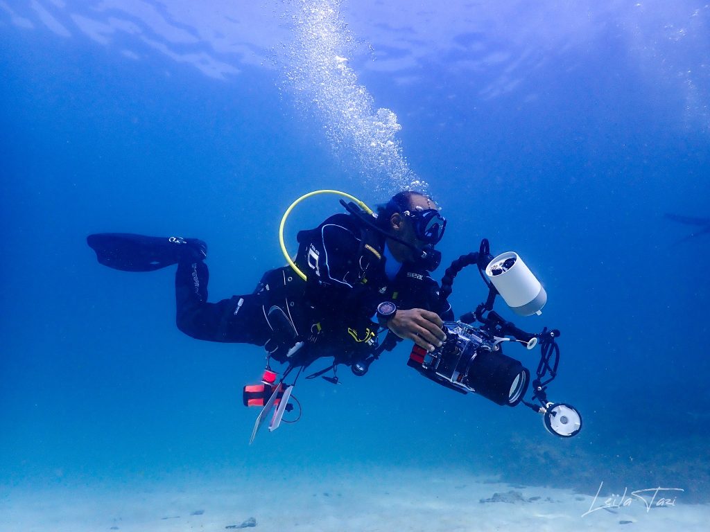 Delayed Surface Marker Buoy
Digital Underwater Photography
Drysuit
Peak Performance Buoyancy
